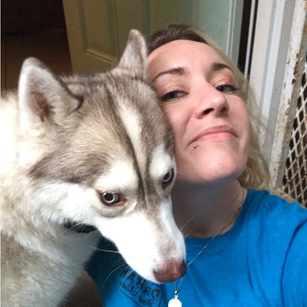 SORE IS LIVE! ✨🐾🦊 - Picture 9 of 9